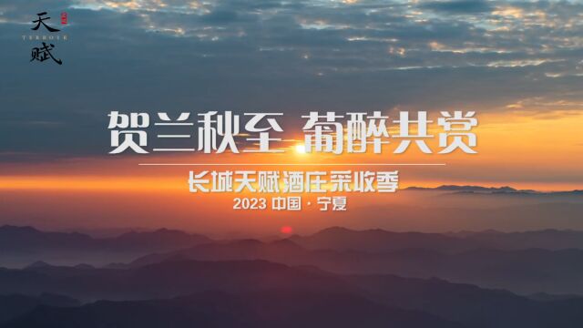 2023天赋榨季