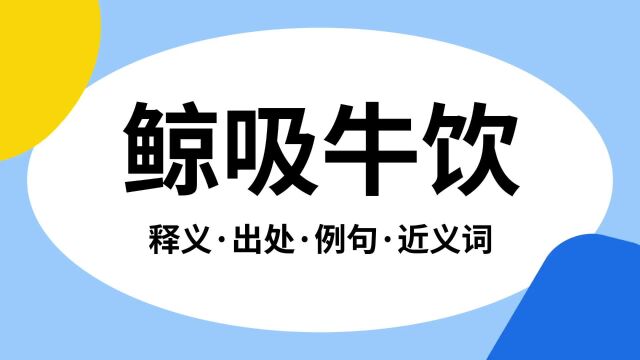 “鲸吸牛饮”是什么意思?