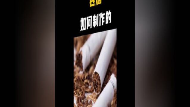 这是一家纳税上万亿的企业,将平平无奇的植物叶子加工成品