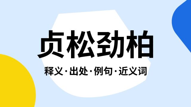 “贞松劲柏”是什么意思?