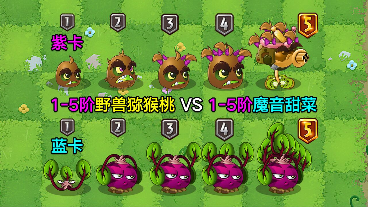 魔音甜菜vs野兽猕猴桃,同样作为震动器选手,1-5阶究竟有何不同?