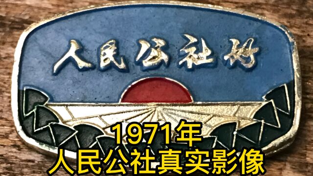 1971年人民公社真实影像,广州新华公社珍贵老视频!