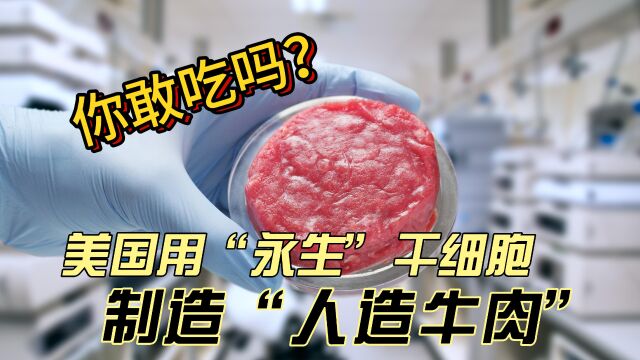 美国发明“永生”干细胞培养“人造肉”有望实现人造肉无限量供应