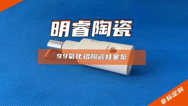 99瓷 氧化铝陶瓷柱塞泵非标定制 精加工 耐磨耐高温防腐蚀