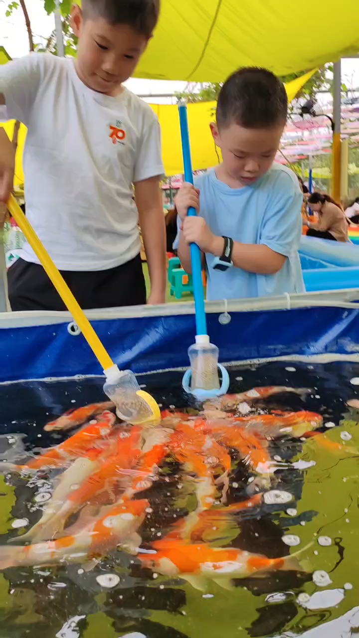 捞鱼1_腾讯视频
