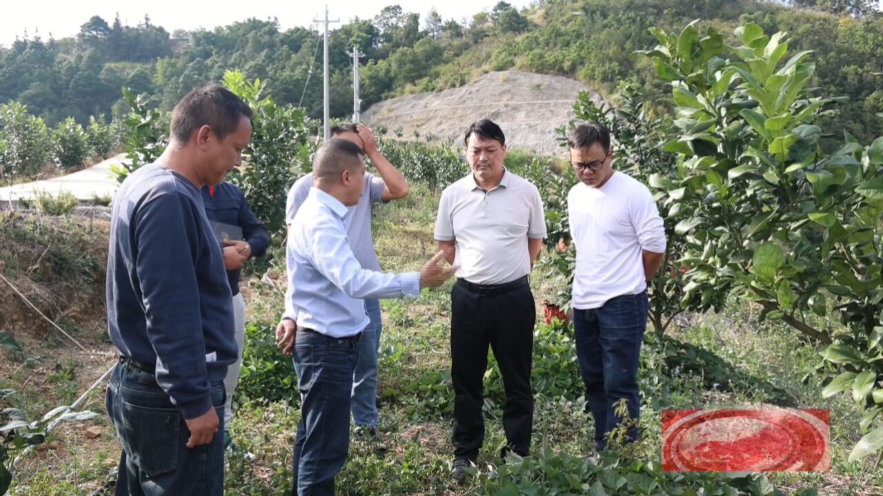 贵州罗甸新闻20231025