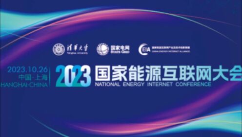 2023国家能源互联网大会，国家电网中国电科院院士、副总工程师盛万兴主题报告“双碳”目标驱动下能源电力系统转型发展探索”