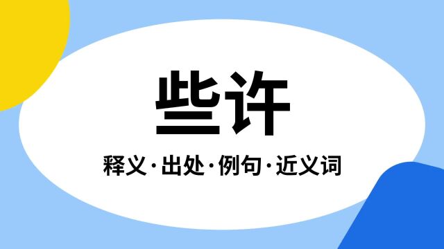 “些许”是什么意思?