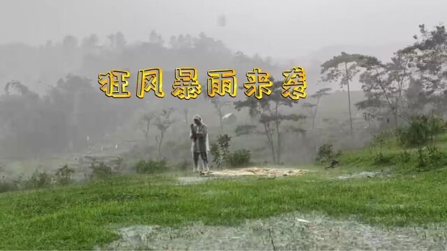 在山顶遇到狂风暴雨 在暴雨中搭建帐篷避险