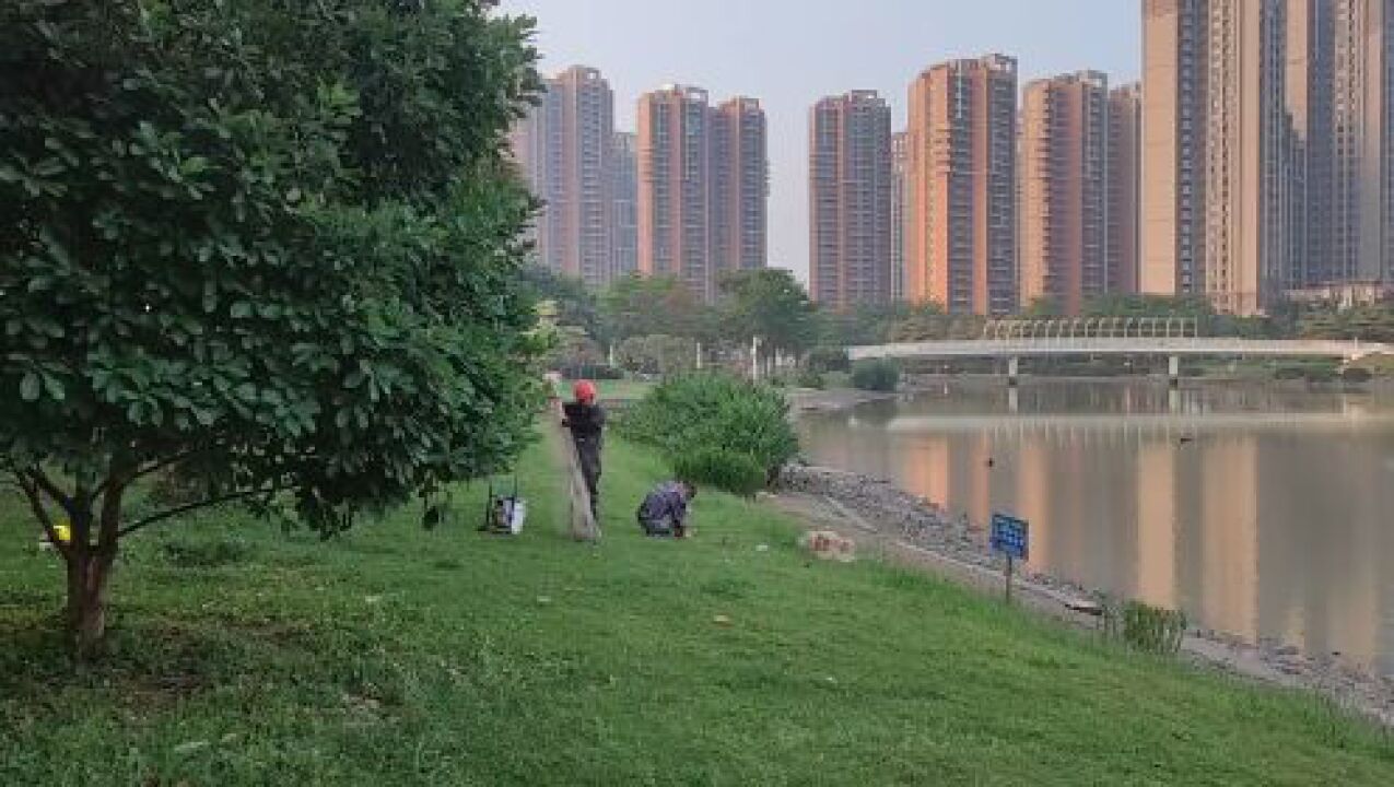 角美溼地公園:在這裡捕魚,合適嗎?