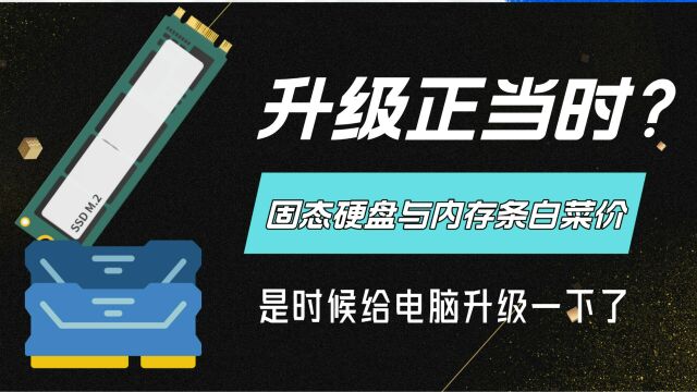 固态硬盘与内存条已经白菜价,是时候给电脑升级一波存储配置了;如何查看电脑可支持硬盘或内存的规格?