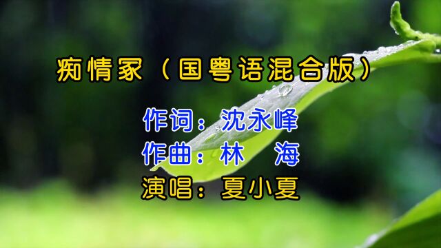 夏小夏的《痴情冢》:眼里柔情都是你,爱里落花水飘零;雁过无痕风有情,生死两忘江湖里!