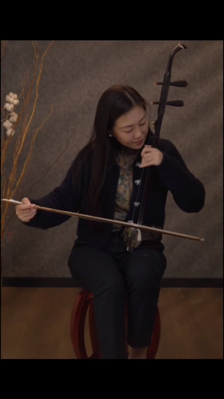 二胡独奏电视剧《渴望》主题曲下半部分,演奏者:孟晓旭