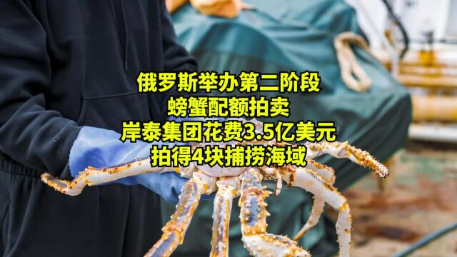 俄罗斯举办第二阶段螃蟹配额拍卖,岸泰集团拍得4块捕捞海域