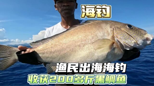 渔民出海海钓,一趟就收获200多斤的黑鲷鱼,这鱼资源让人羡慕