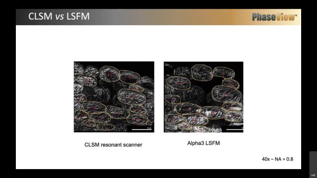 (1) WEBINARPlant Imaging and Clearing for Light Sheet Microscopy021721 