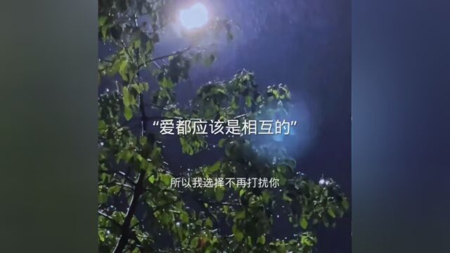 我不再主动,不是因为你不重要,而是我知道我已经不重要了. #情感