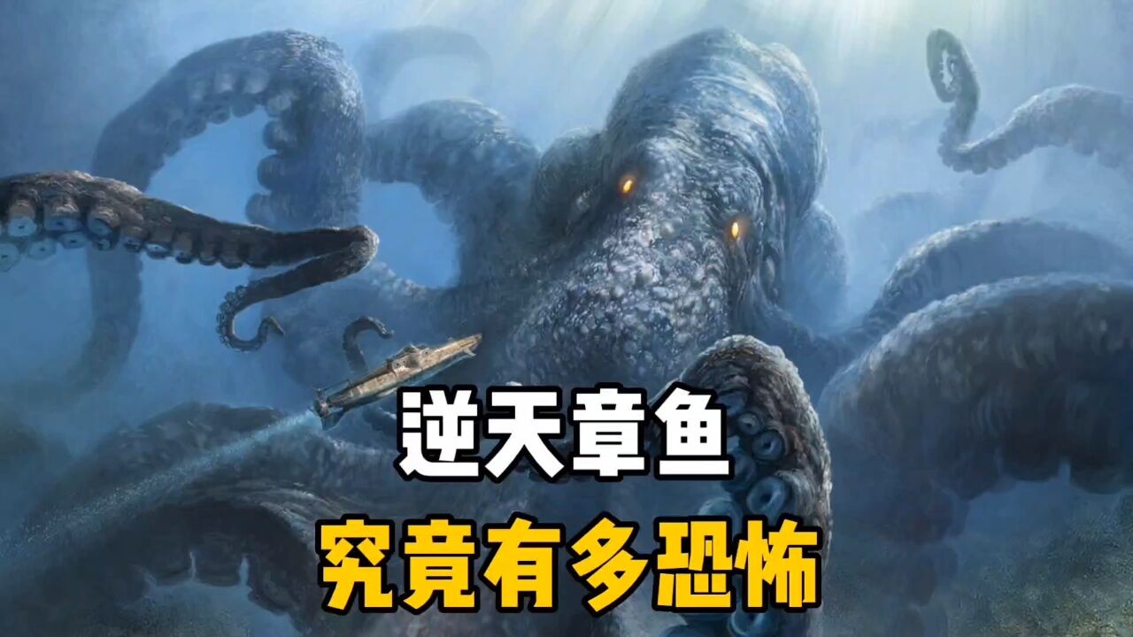 逆天章鱼究竟有多恐怖,你知道吗?