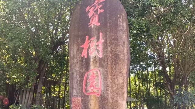 黄河宝树园位于潮州市潮安区沙溪贾里村,走进竹世界,领略竹文化