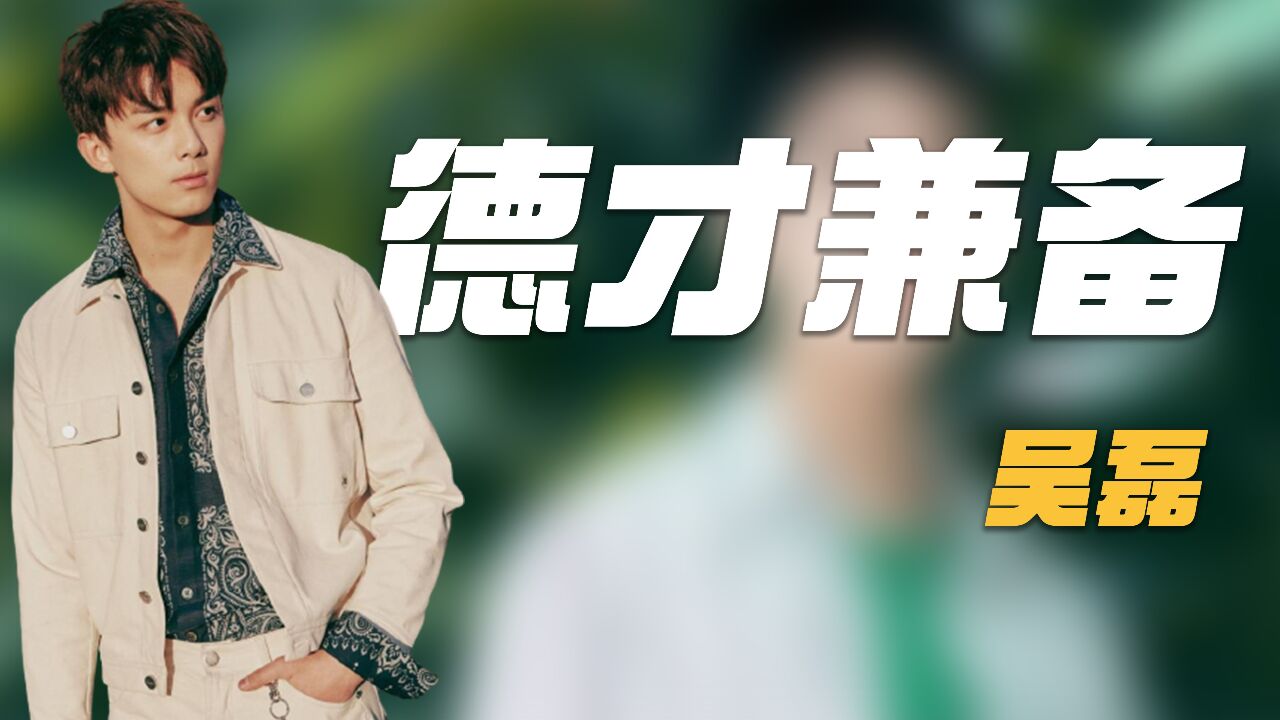 吴磊为何不再参加综艺?背锅侠,受气包,搬运工,一个都逃不掉!_高清1080P在线观看平台_腾讯视频