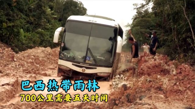 巴西热带雨林一到雨季通行困难,大巴车700公里需要五天时间才到