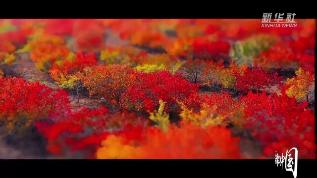 瞰中国|内蒙古赤峰:红山秋景