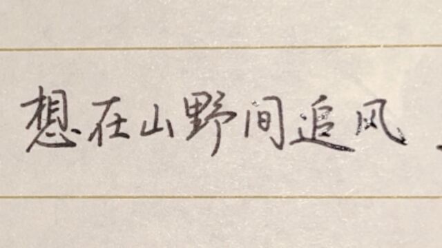 每日练字:想在山野间追风,看黄昏与黎明