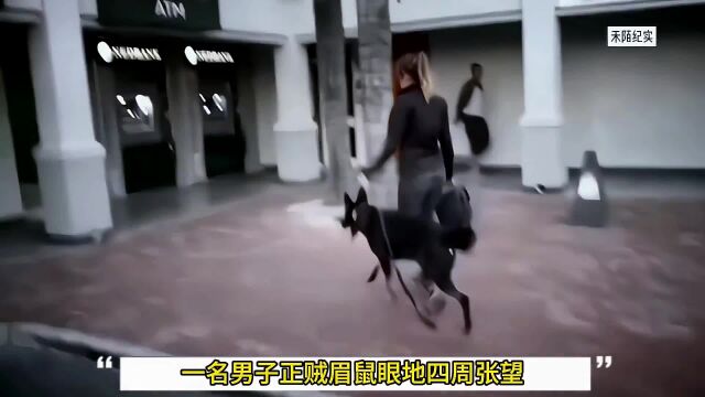 主人被抢,忠犬挺身护主!