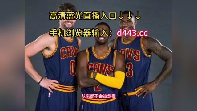 NBA总决赛回放:热火vs掘金(中文)高清全场录像回放勇士观看