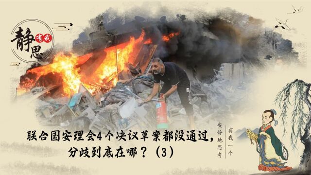 联合国安理会4个决议草案都没通过,分歧到底在哪?(3)