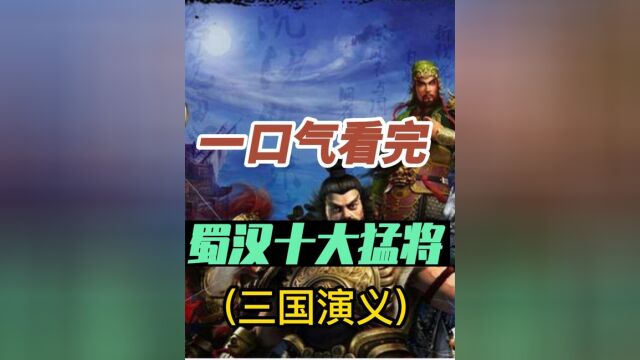 一口气看完蜀汉十大猛将三国演义中