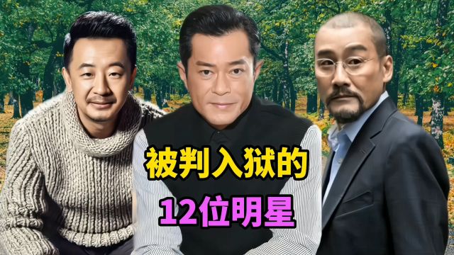 被判入狱的12位明星,知法犯法就该严惩,你知道都有谁吗?