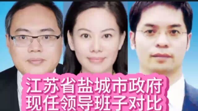 江苏省盐城市政府现任领导班子对比,江苏本省9位,有你了解的吗