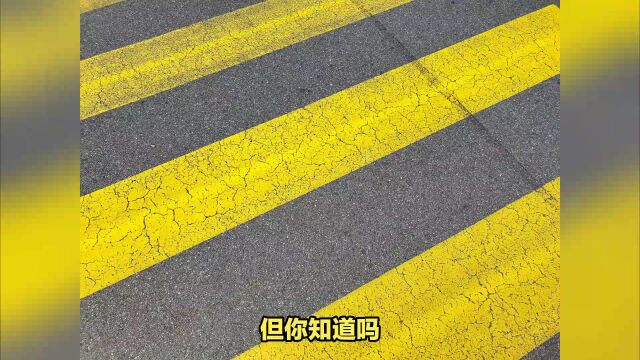 马路黄色标线不同含义大揭秘—上海明桥道路划线