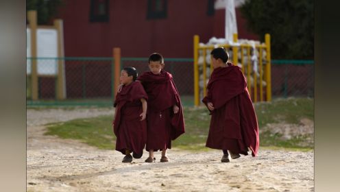 玩游戏的小僧侣
5.13拍摄于郎木寺，郎木寺位于甘南藏族自治州和四川交界一小镇，融合了藏、回两个和平共处的民族小镇，喇嘛寺院、清直寺等。