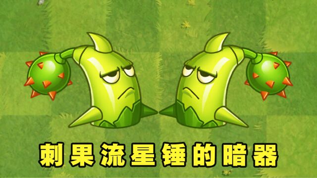 植物大战僵尸:暗器杀手刺果流星锤,蓄力一击无僵可挡?