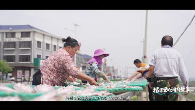 《档案里的洞庭故事》②丨渔歌新唱乐与美