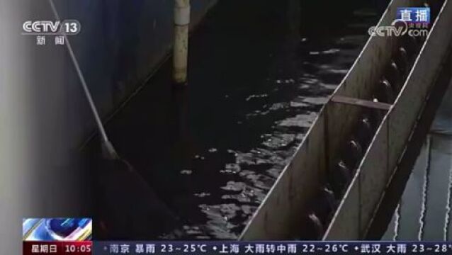 央视聚焦!《新闻直播间》关注我区环巢湖湿地、幸福河湖建设