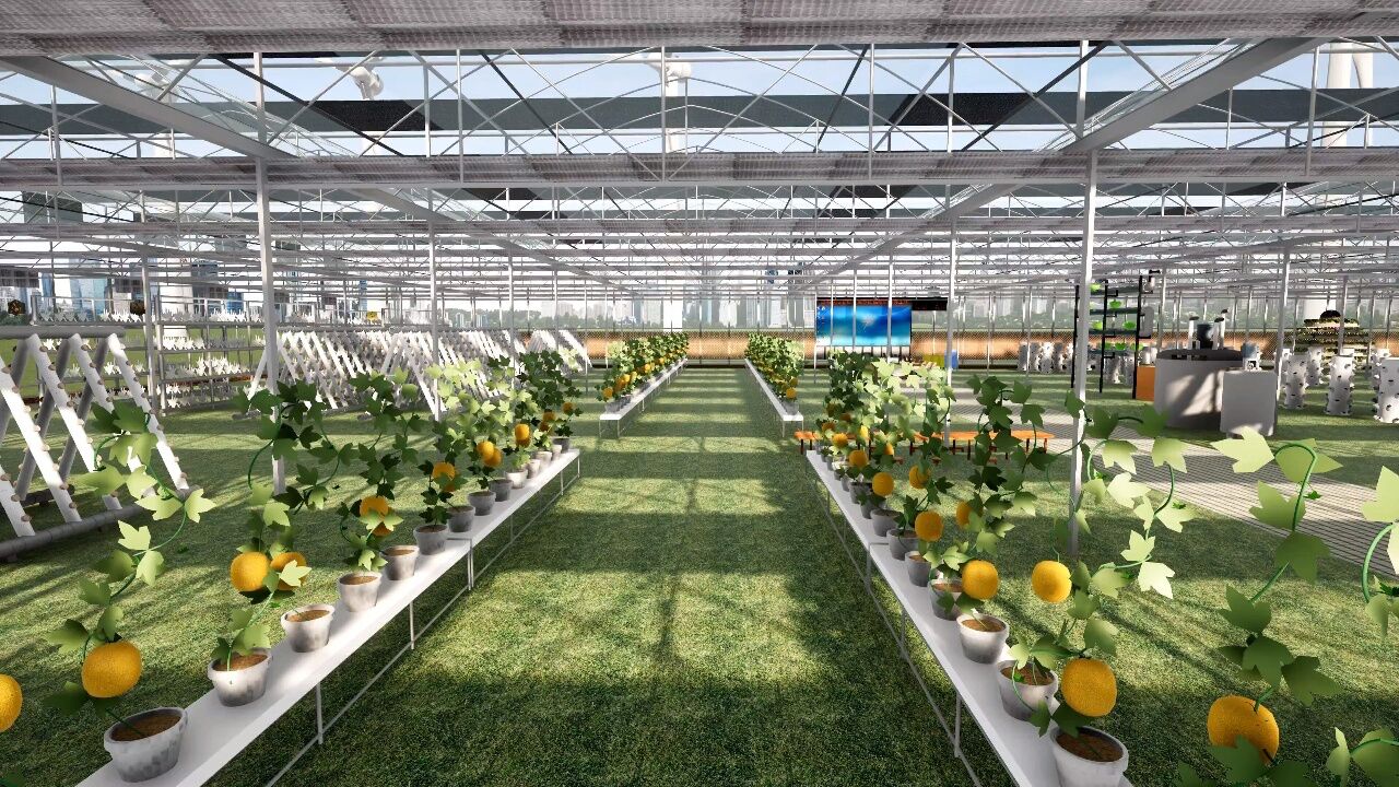 连栋大棚效果图展示