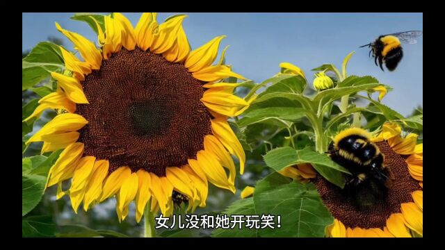 精品在线阅读《七零宠婚:媳妇她又美又撩》夏泠全文