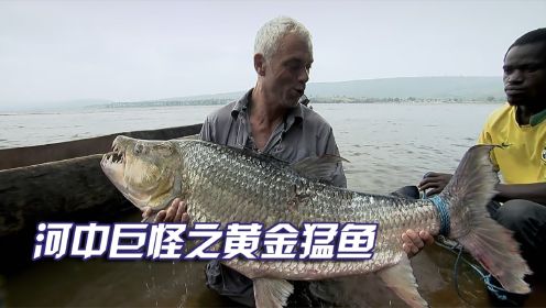 河中巨怪之黄金猛鱼