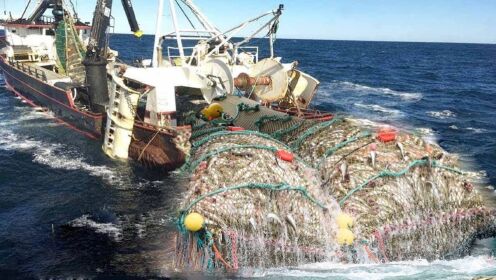 国外远洋大船深海捕捞,用大型拖网捕捞鱼群十万斤,让大家见识下_高清1080P在线观看平台_腾讯视频