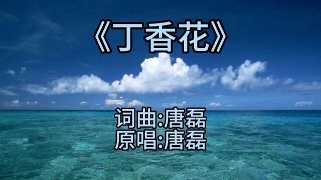 怀旧金曲唐磊《丁香花》,经典怀旧歌曲曲,那些年的爆红歌曲