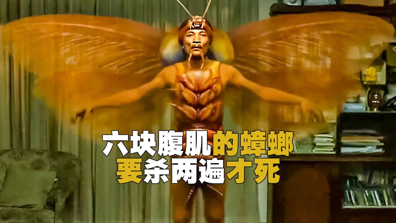 六块腹肌的蟑螂,要杀两遍才死