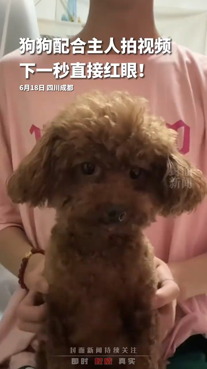 拍拿放………_高清1080P在线观看平台_腾讯视频