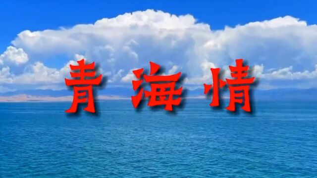 综合歌曲:青海情 演唱:泽旺拉姆