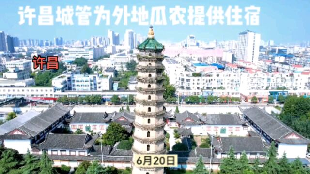 6月20日,河南许昌.许昌魏都城管为外地瓜农提供住宿,让这些瓜农在许昌安心卖瓜.据了解,这些瓜农为了在城市里卖瓜,不得不远离