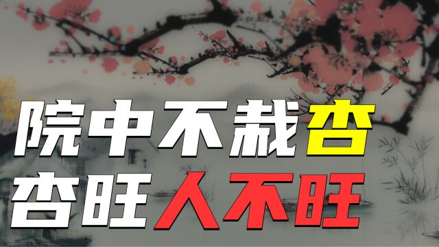 俗语“院中不栽杏,杏旺人不旺”,为啥不能栽杏树?你家栽过吗?