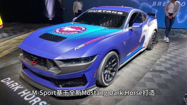 福特Mustang GT3赛车版