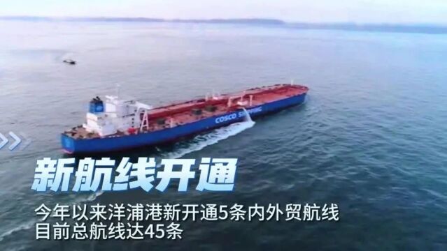 洋浦新身份:以“国字号”物流枢纽建设服务海南自贸港!